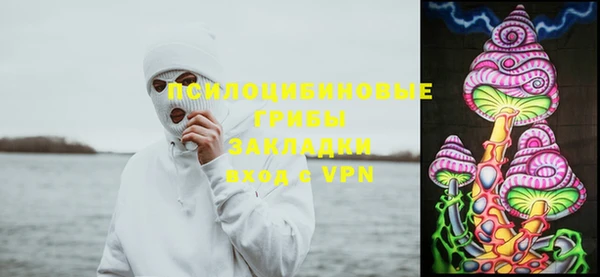 дмт Лиски