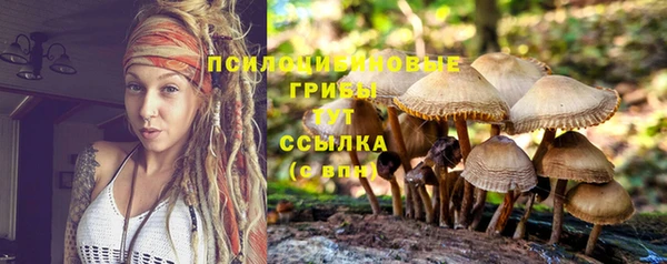 MDMA Premium VHQ Бронницы