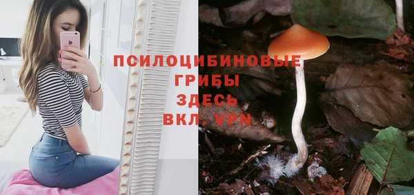 mix Бородино