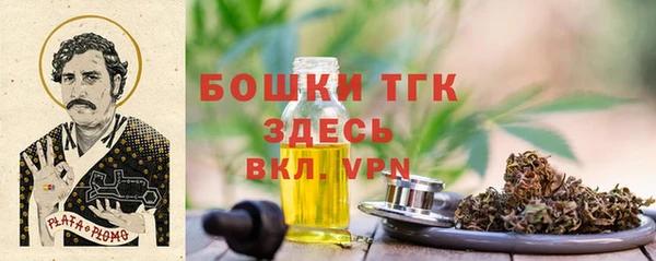 mix Бородино